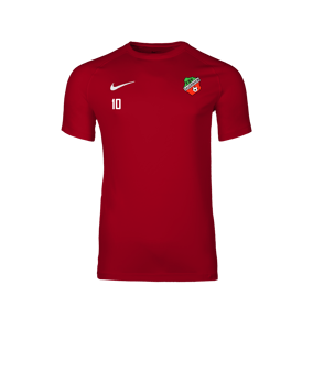 Nike Park VIII Trikot Rot F657