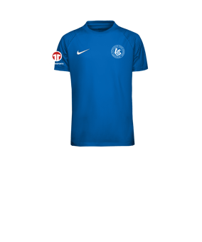 Nike Academy II Trikot Kids Blau F463