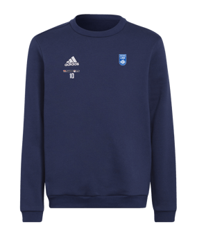 adidas Entrada 22 Sweatshirt Kids Blau