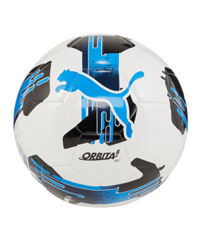 PUMA Orbita 6 MS Trainingsball Weiss F05 - weiss