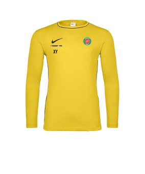 Nike Park 26 Longsleeve Gelb F719