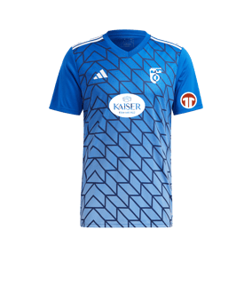 adidas Team Icon 23 Trikot Blau