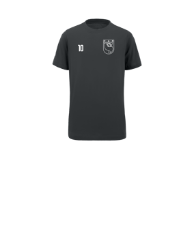 Nike Park 20 T-Shirt Kids Grau Weiss F071
