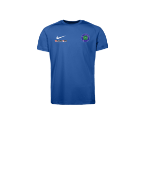 Nike Park VIII Trikot Kids Blau F463