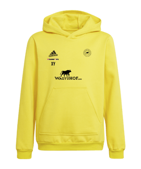 adidas Entrada 22 Hoody Kids Gelb