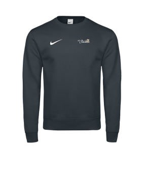 Nike Park 26 Sweatshirt Grau F071