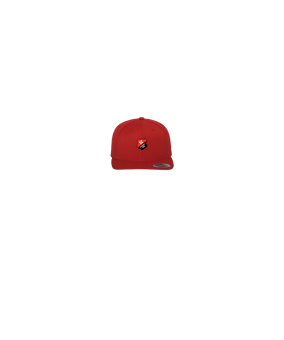 Merch 5 Panel Classic Snapback Cap Red Green | logo4c