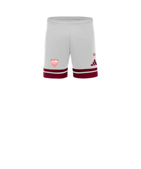 adidas Squadra 25 Court Enfants Blanc 