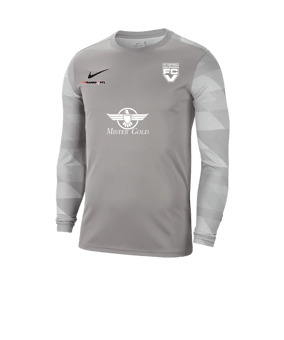 Nike Park IV TW-Trikot langarm Grau F052