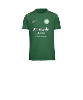 Nike Academy II Trikot Kids Grün F302