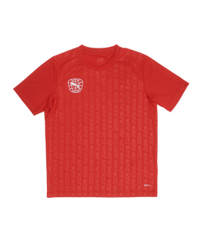 PUMA re:fibre Trikot Kids Rot F01 - rot