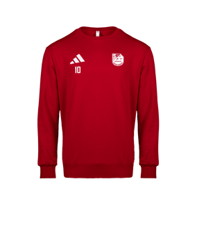 adidas Entrada 26 Sweatshirt Rot
