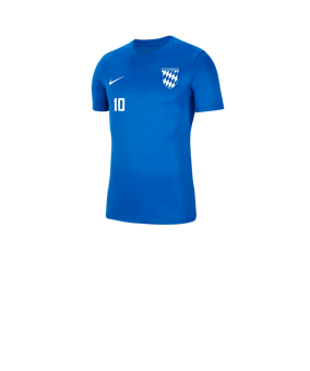 Nike Park VII Trikot kurzarm Kids Blau F463