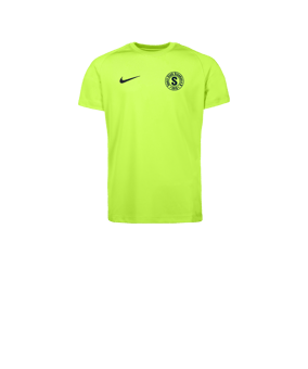 Nike Park VIII Trikot Kids Grün F702
