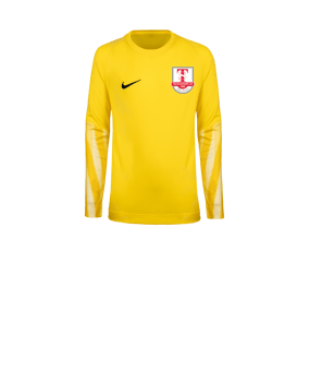 Nike Park V Trikot langarm Kids Gelb F718