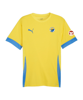 PUMA teamGOAL Matchday Trikot Gelb Blau F17