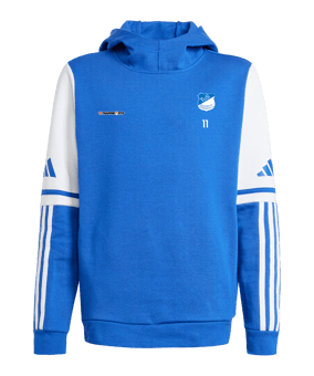 adidas Squadra 25 Hoody Kids Blau