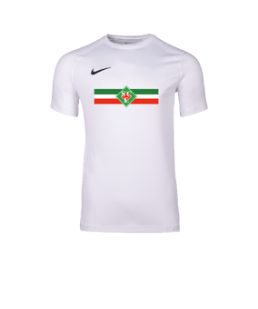 Nike Park VIII Trikot Weiß F100