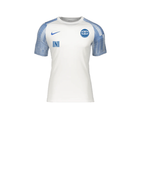 Nike Academy Trikot Kids Weiss Blau F102