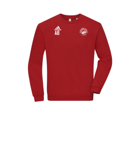 adidas Entrada 22 Sweatshirt Kids Rot