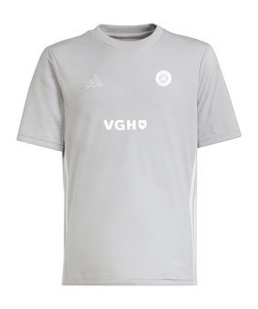adidas Tabela 23 Trikot Kids Grau Weiss