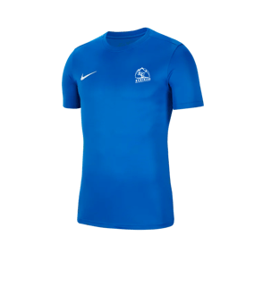 Nike Park VII Trikot kurzarm Blau F463