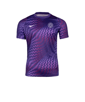 Nike Gardien VI Torwarttrikot Lila F507