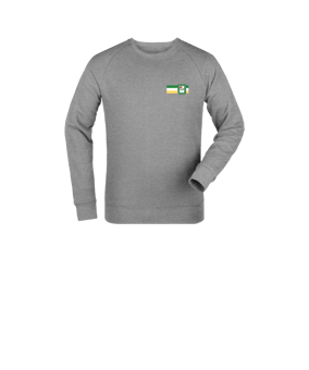 Merch Mini Changer 2.0 Sweatshirt Kids Heather Grey | #logo4c