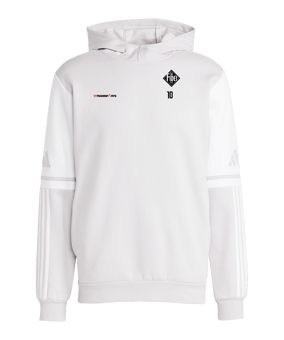 adidas Squadra 25 Hoody Grau