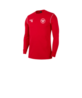 Nike Park 20 Sweatshirt Kids Rot F657