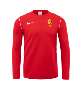 Sweat-shirt Nike Park 20 rouge blanc F657 