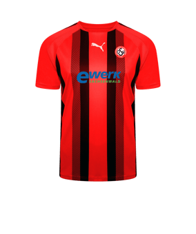PUMA teamLIGA Striped Trikot Rot Schwarz F01