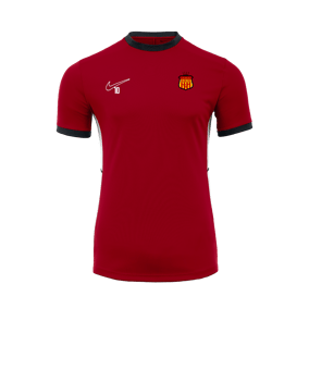 Nike Academy 25 Formation Rouge C657