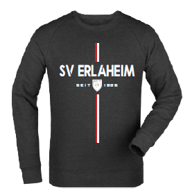 Merch Roller Sweatshirt Dark Heather Grey FC651
