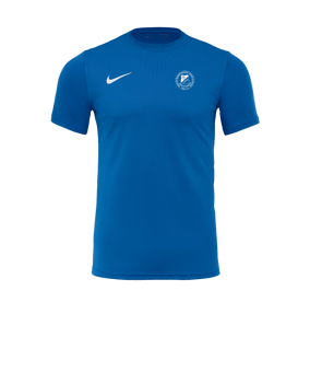 Nike Park VII Trikot kurzarm Blau F463