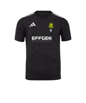adidas Team Icon 25 Trikot Schwarz