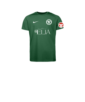 Nike Park VIII Trikot Kids Grün F302
