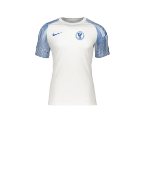 Nike Academy Trikot Kids Weiss Blau F102