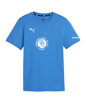 PUMA teamGOAL Casuals T-Shirt Kids Blau F02