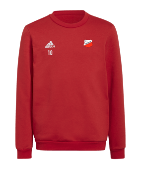 adidas Entrada 22 Sweatshirt Kids Rot