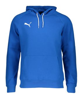PUMA Basketball Blank Hoody Blau F08 - blau
