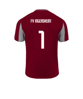 adidas Tiro 25 Competition Trikot Rot