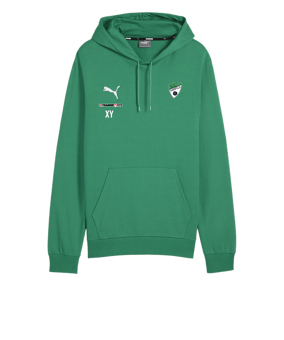 PUMA teamGOAL Casuals Hoody Grün F05