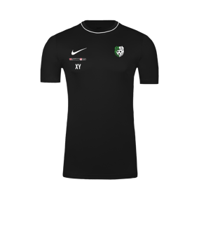 Nike Park 26 Trainingsshirt Schwarz F010