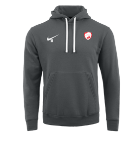 Sweat à capuche en polaire Nike Park 20 Gris blanc F071