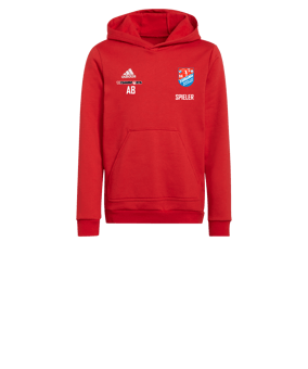 SG TiMoNo Hoody Kids