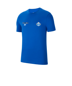 Nike Park 20 T-Shirt Blau Weiss F463