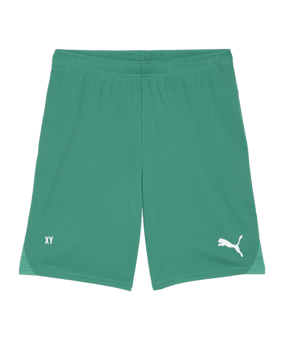 PUMA teamGOAL Short Grün Weiss F05