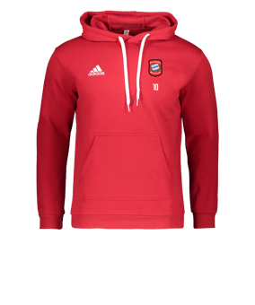 adidas Entrada 22 Hoody Rot