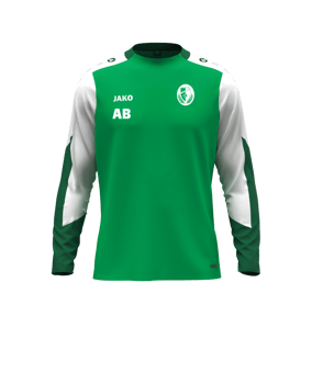 JAKO Dynamic Sweatshirt Grün F204